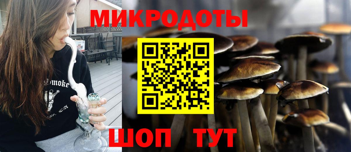 Галлюциногенные грибы мухоморы Качканар
