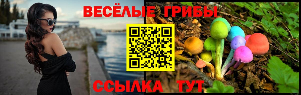 Качканар  Псилоцибиновые грибы мухоморы  Вход с VPN 